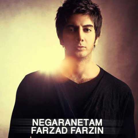 Farzad Farzin Negaranetam